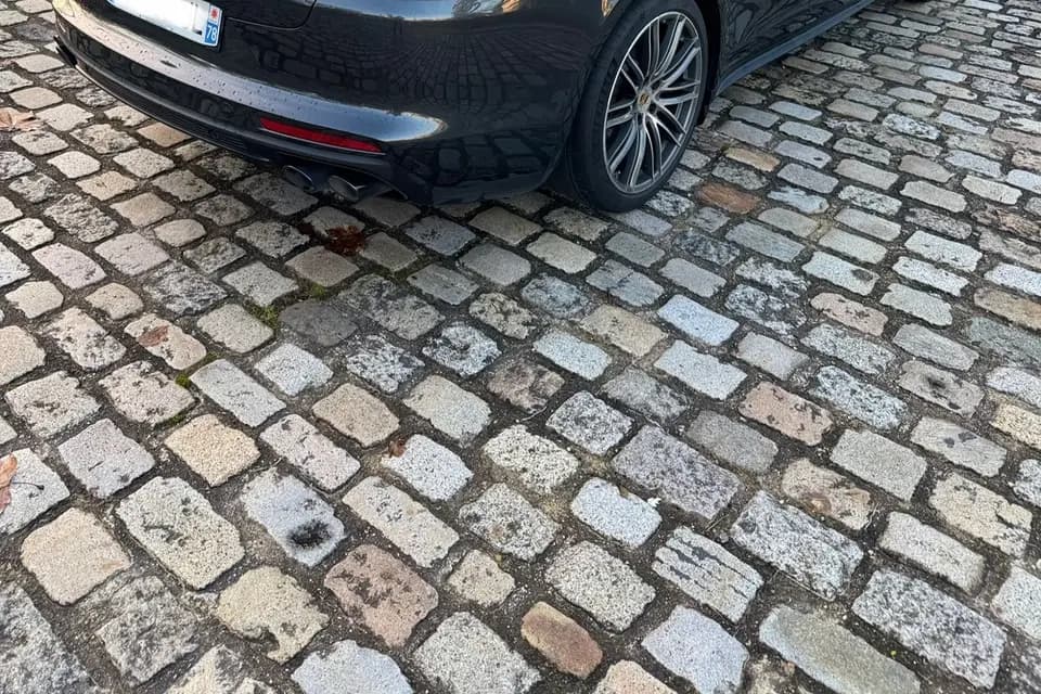 Kali Consult — photo 1