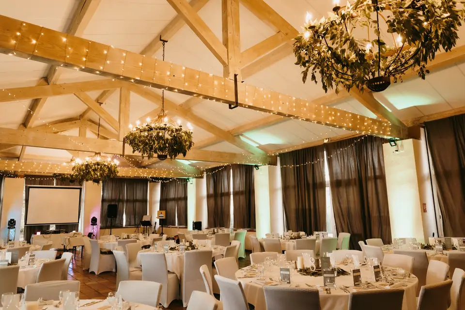 Le Canard Sur Le Toit — photo 5