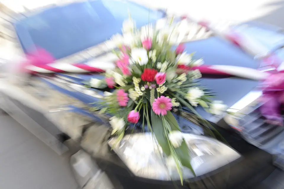 Provence Limousine — photo 3