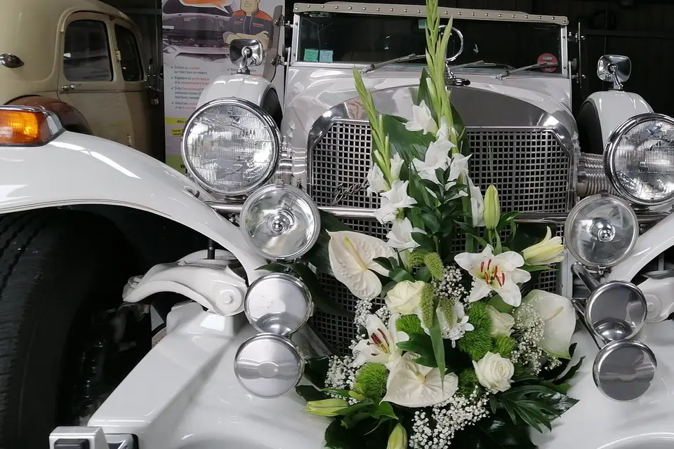 Provence Limousine — photo 4