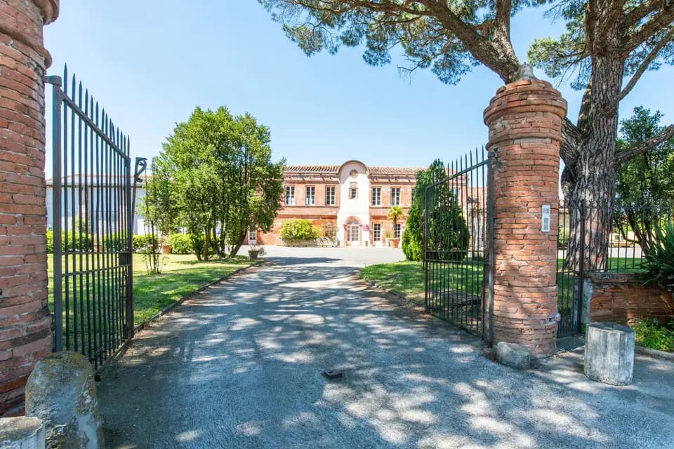 Le Canard Sur Le Toit