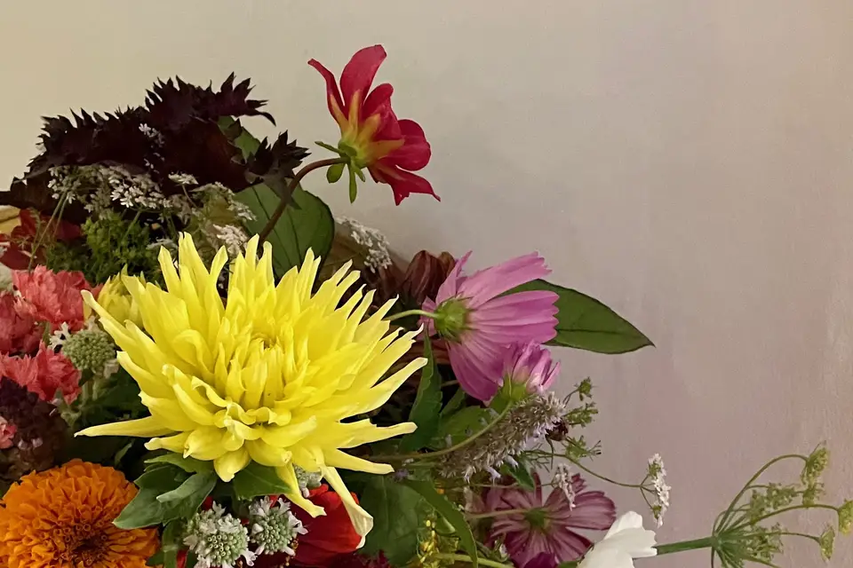 Maison Simples — photo 8