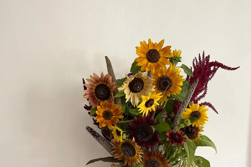 Maison Simples — photo 4