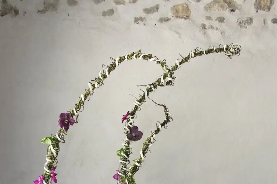 Emi'sfaire coté fleurs — photo 4