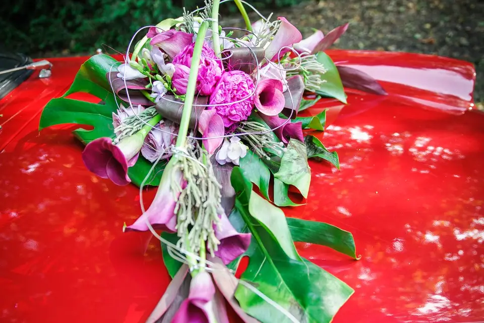 Emi'sfaire coté fleurs — photo 7