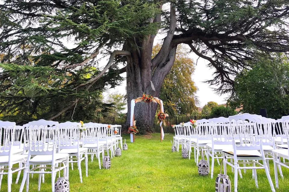Château De Didonne — photo 5