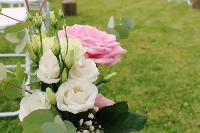 Agence Wonder — photo 5