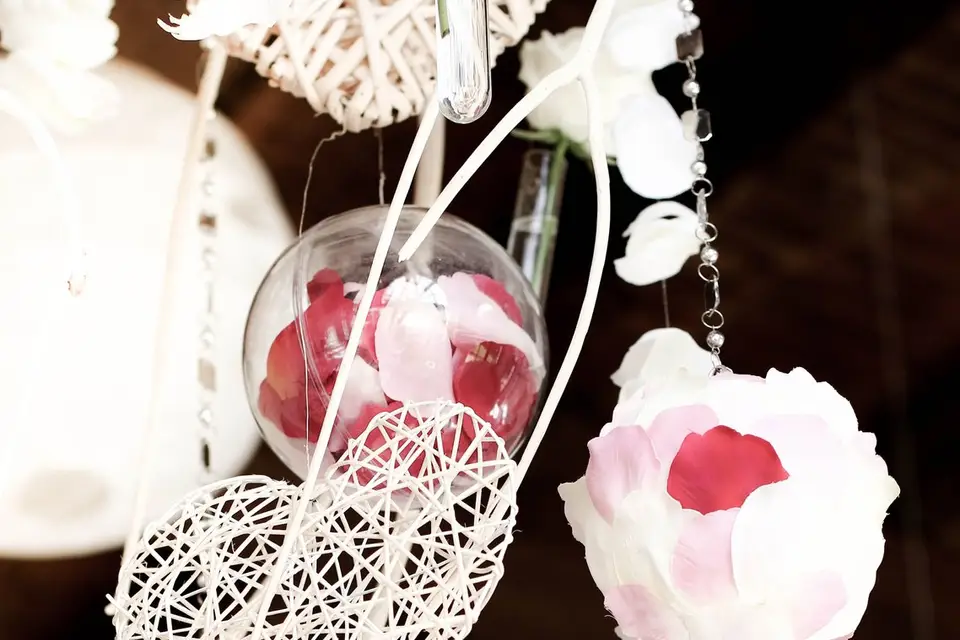 Stéphanie Bogdanez — photo 5