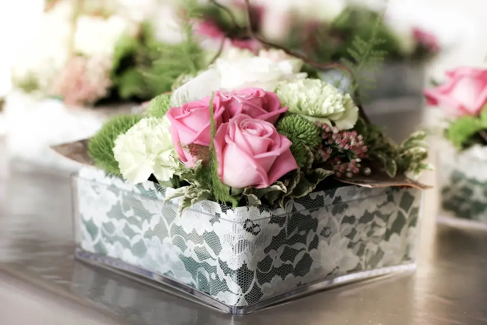 Stéphanie Bogdanez — photo 2