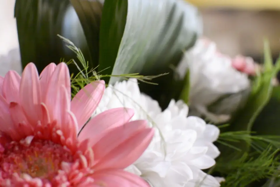 Yes-Widoo — photo 6