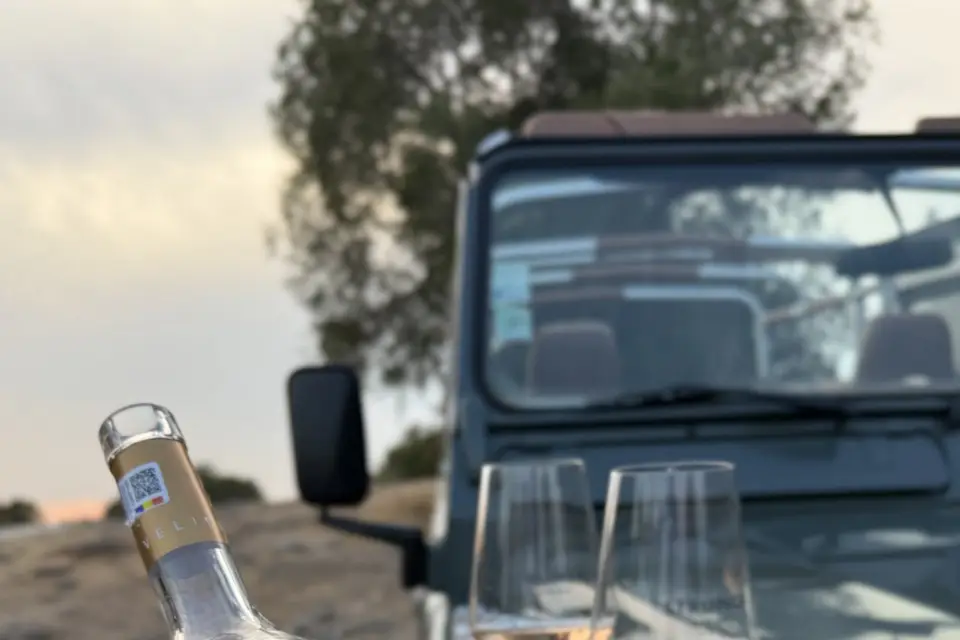 4x4 City Tours — photo 2