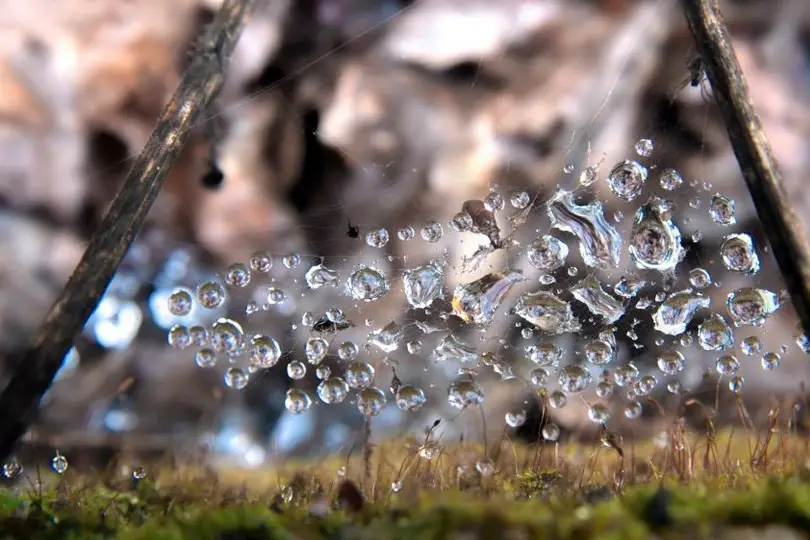 JB Studio — photo 6