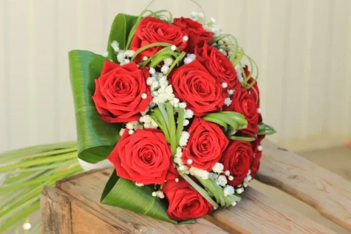 Angélique Bernhard — photo 8