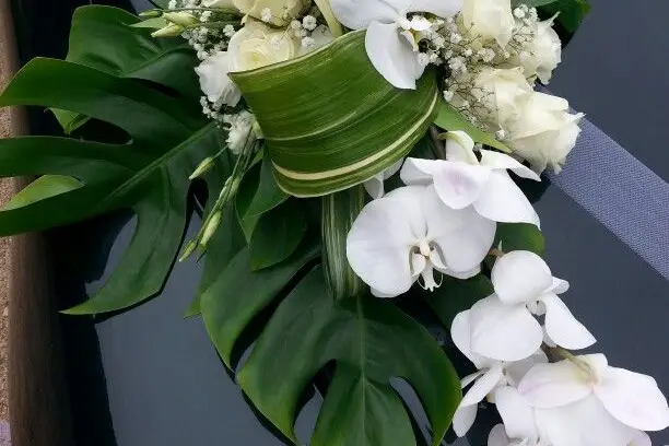 Angélique Bernhard — photo 5