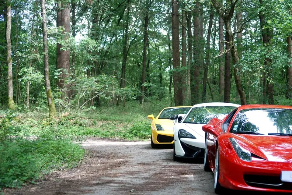 Lambo'Sport — photo 5