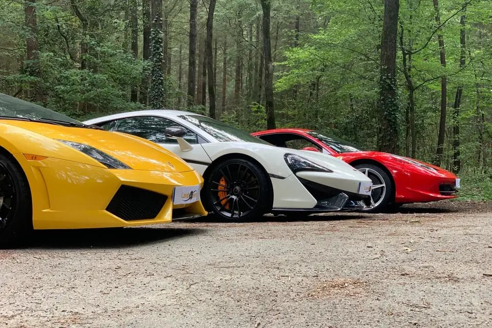 Lambo'Sport — photo 4