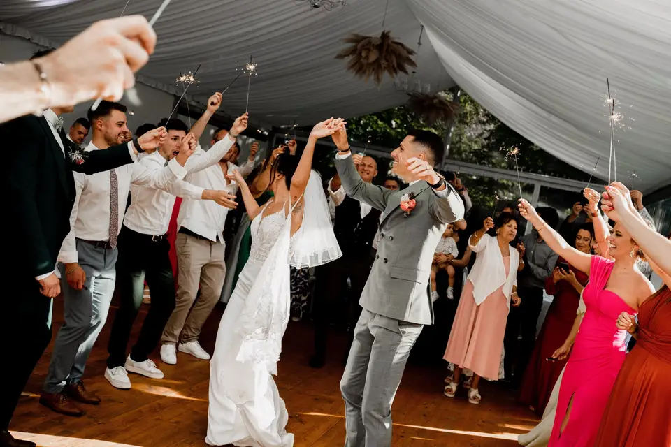 VIP Anim — photo 7