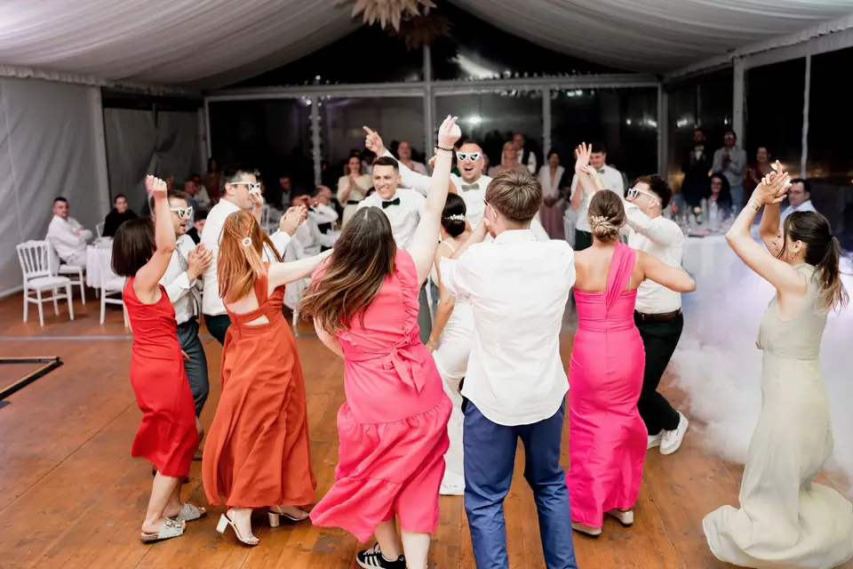 VIP Anim — photo 2