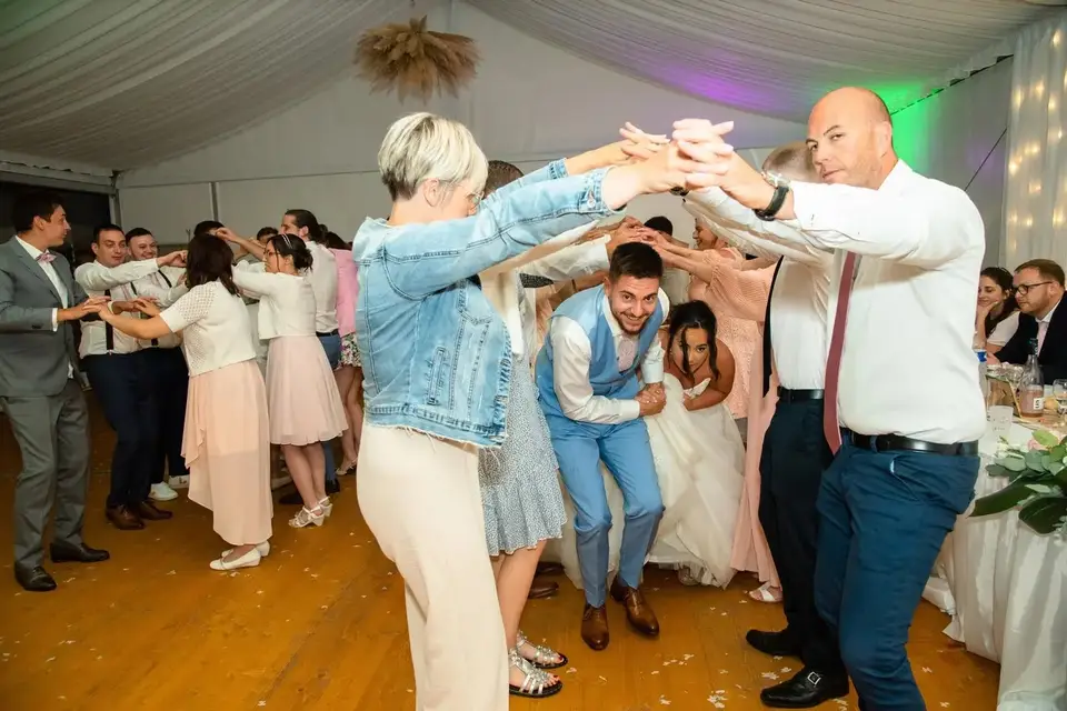 VIP Anim — photo 4