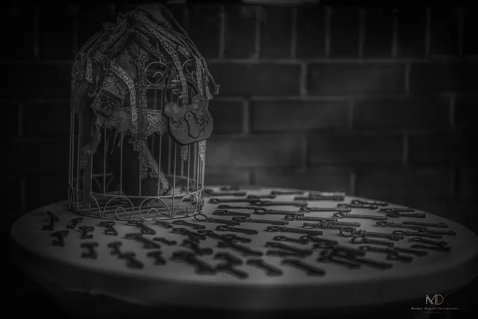 VIP Anim — photo 9