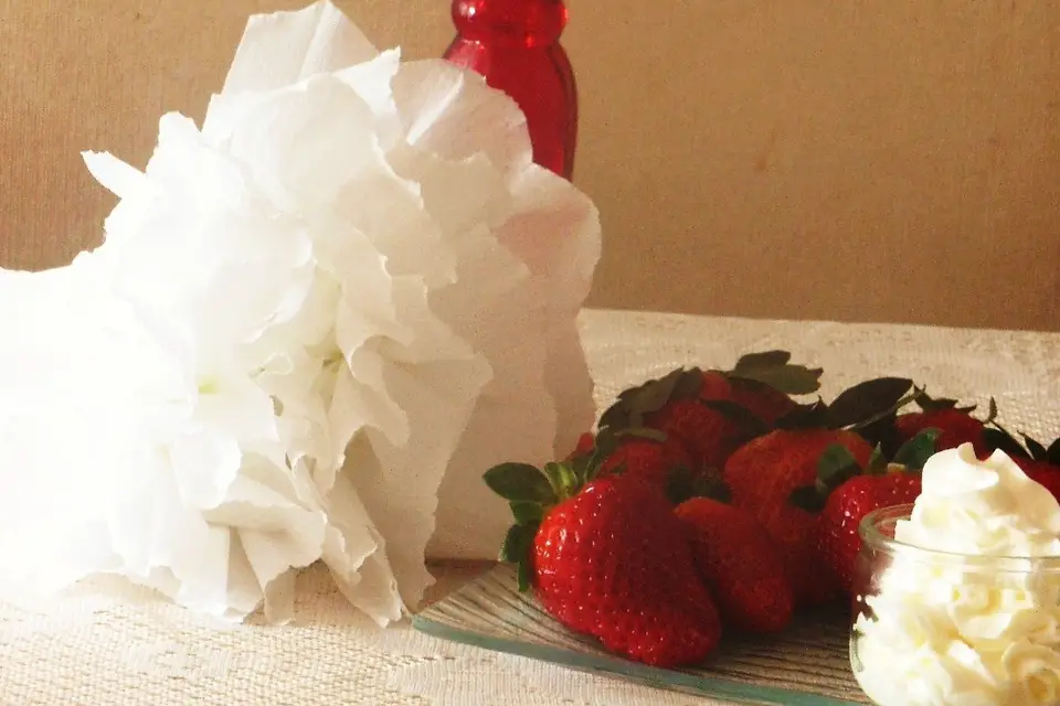 Noces Féériques — photo 3