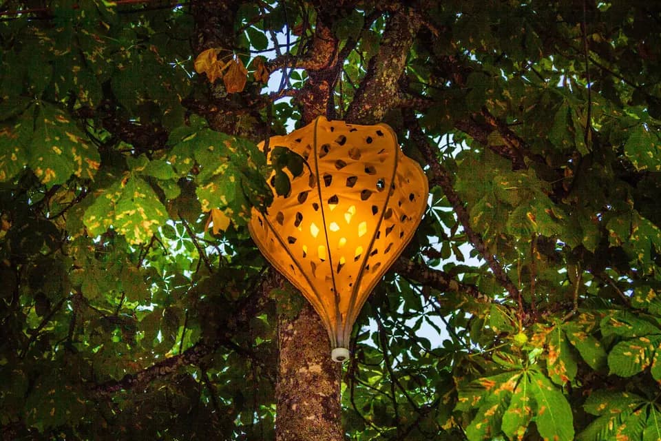 Porté par le vent — photo 3