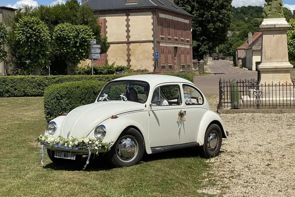 Merci Paulette — photo 1