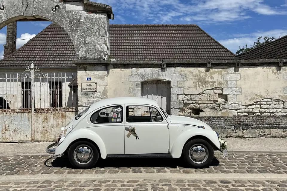 Merci Paulette — photo 5