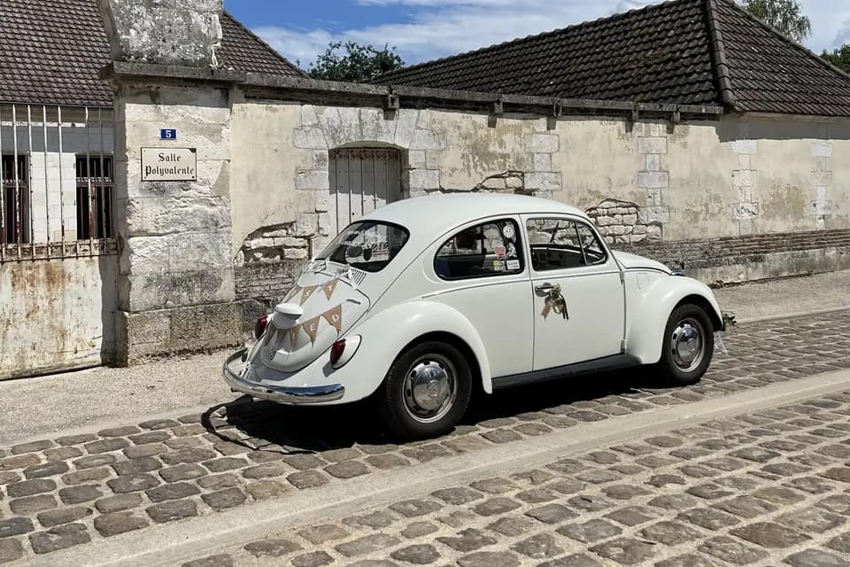 Merci Paulette — photo 6