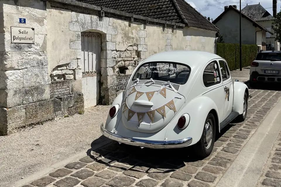 Merci Paulette — photo 4