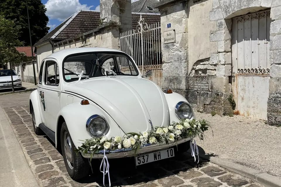 Merci Paulette — photo 3