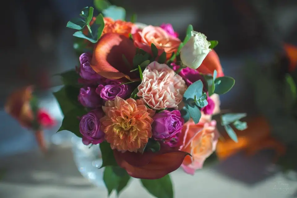 Lovely Dream Event — photo 5