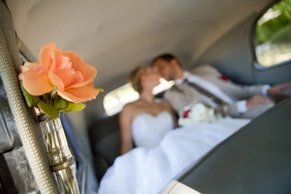 Tiphaine Bittard Photographie — photo 6