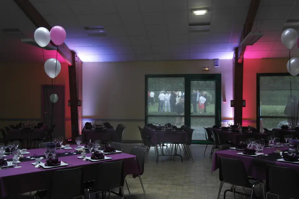 MS-Animation — photo 3