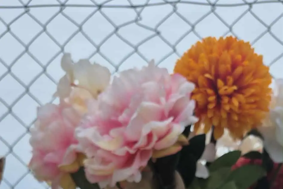 Travelcook — photo 7