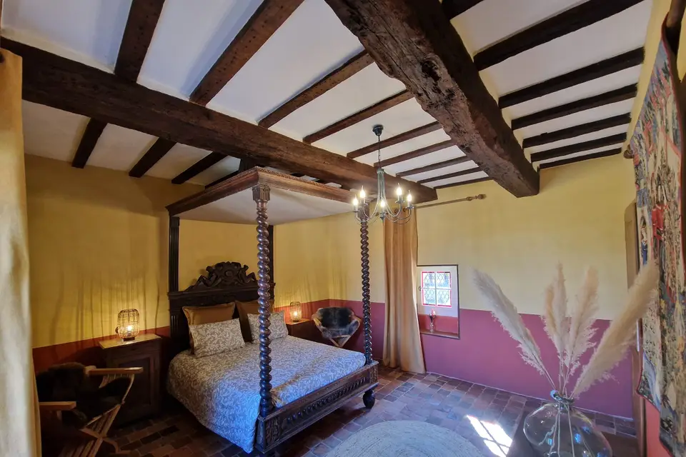 Château de la Mothe de Vicq — photo 7