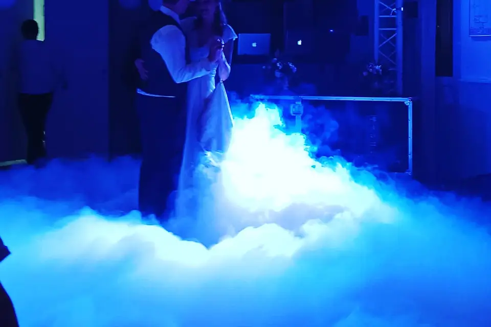 Animlight — photo 3