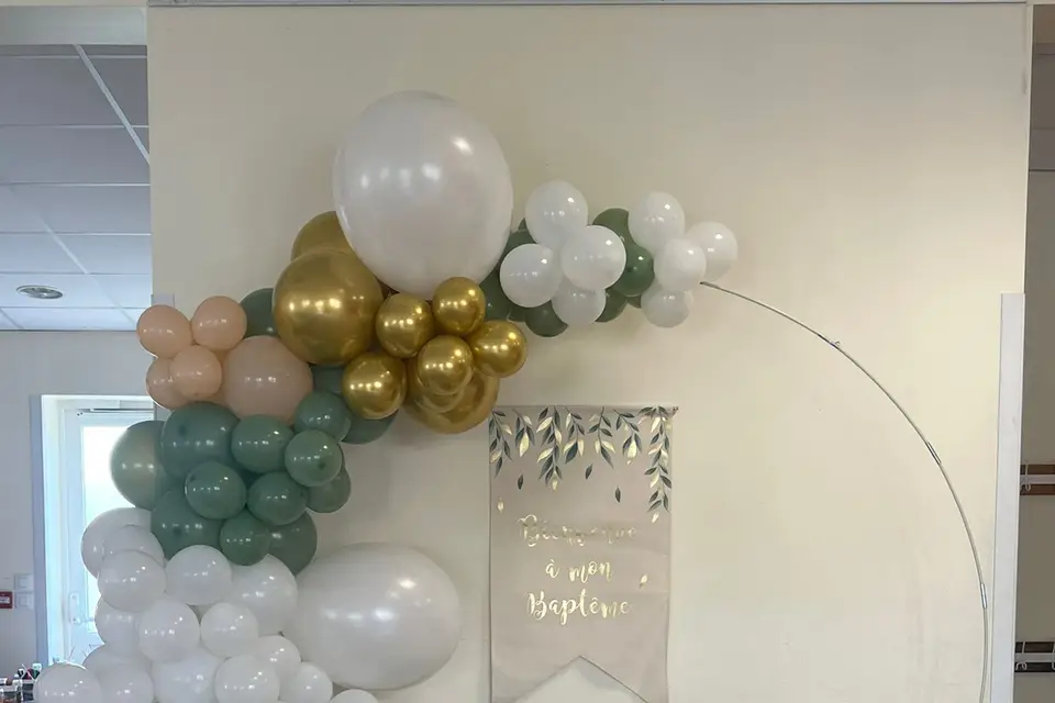 Animlight — photo 5