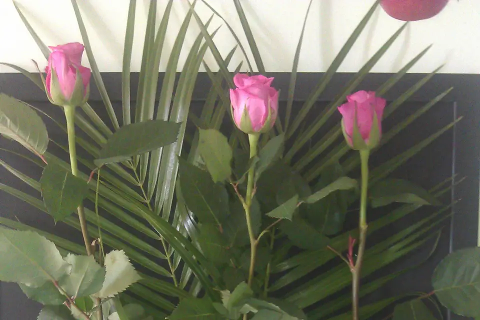 Rigot Audrey — photo 6