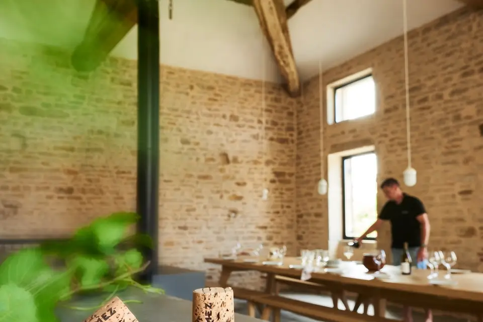 Domaine Vuillemez Père & Fils — photo 6