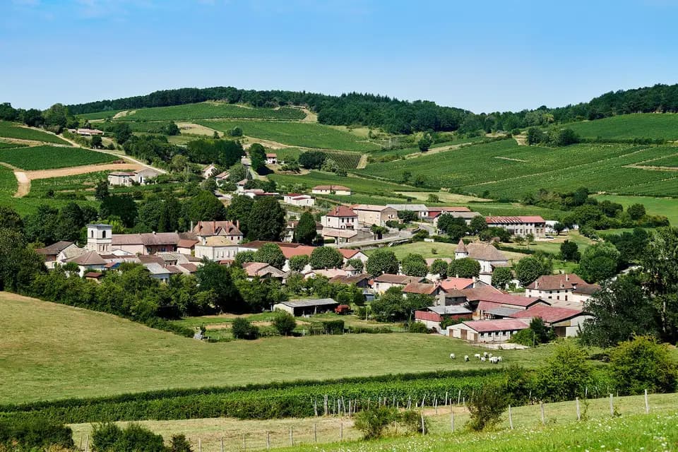 Domaine Vuillemez Père & Fils — photo 5