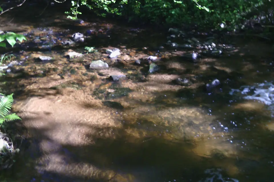 Hôstellerie Cascade — photo 3