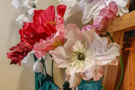 Les Flores d'Isariel — photo 3