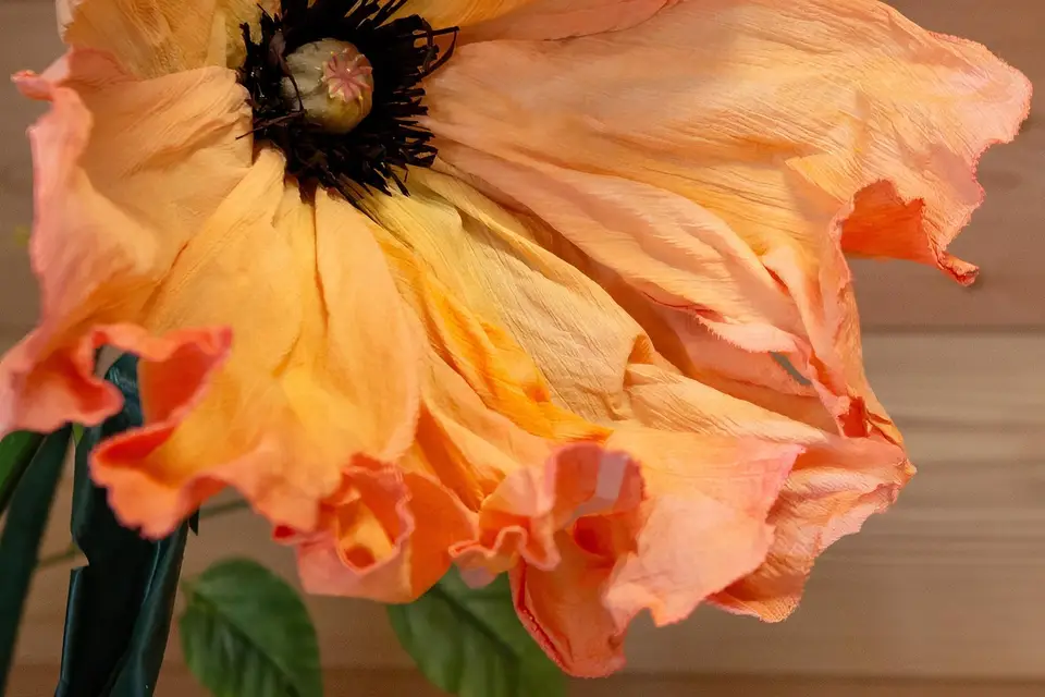 Les Flores d'Isariel — photo 8