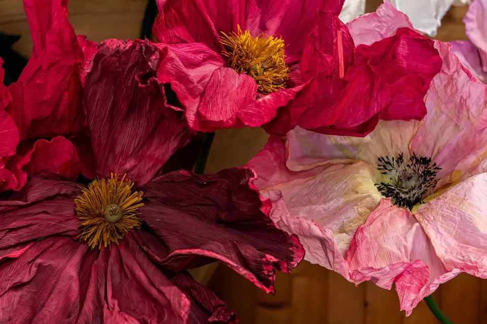 Les Flores d'Isariel