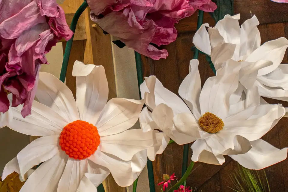 Les Flores d'Isariel — photo 7