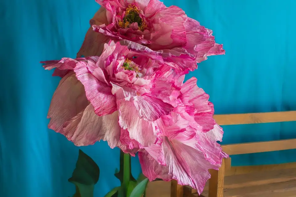 Les Flores d'Isariel — photo 6