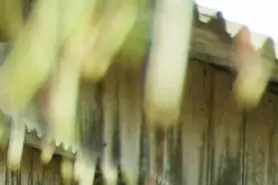 Joél Arnaud Photographe — photo 2