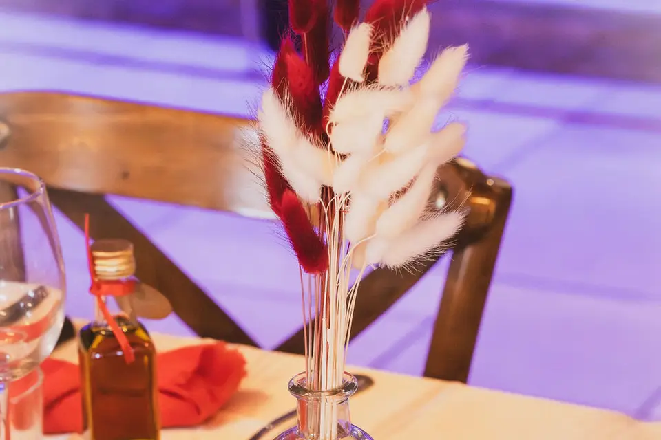 Val Noces - Designer — photo 5