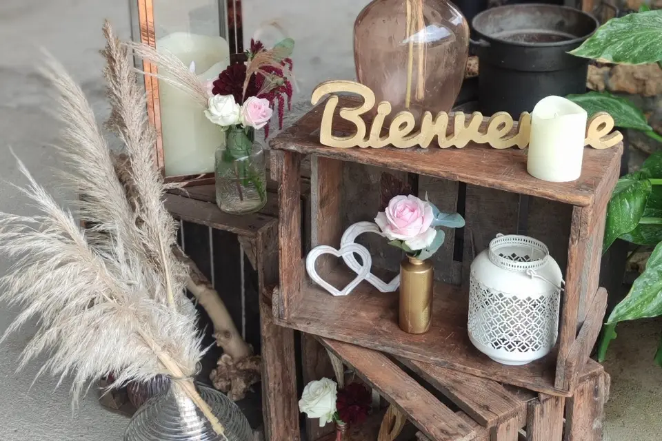 Marion l'a fée — photo 8